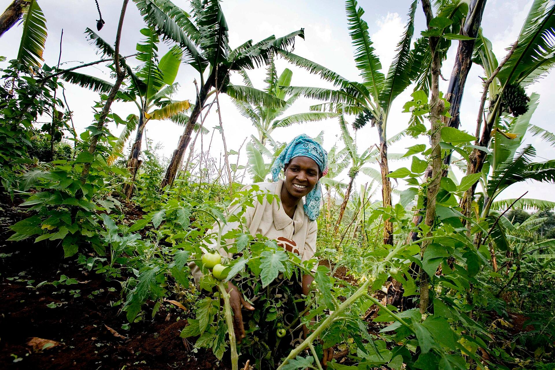 A woman in a headscarf smiling among banana plants and vegetables on a small farm
